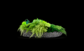 Nike CPFM “Cactus Plant Flea”